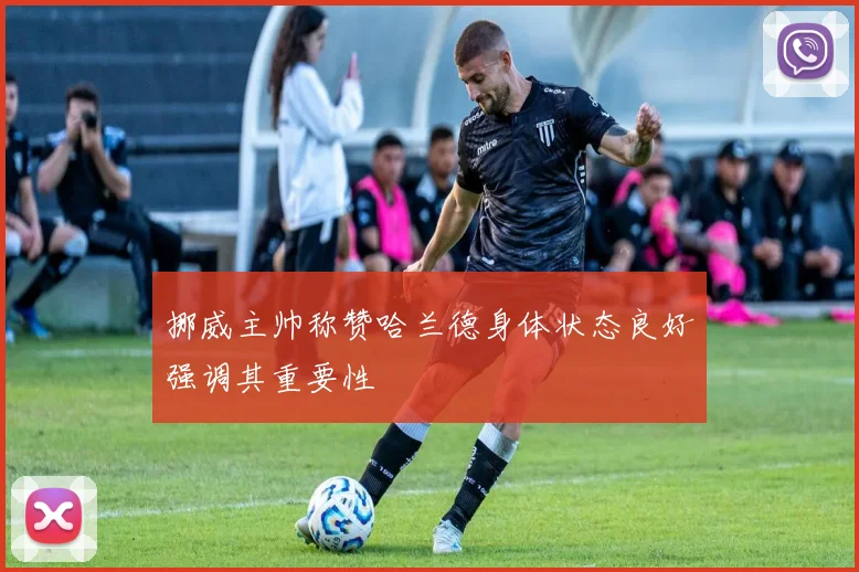 挪威主帅称赞哈兰德身体状态良好强调其重要性